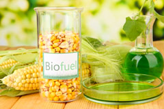 Shorton biofuel availability