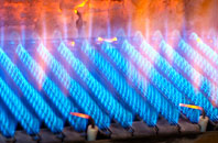 Shorton gas fired boilers